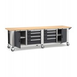 Banco professionale con ruote, 8 cassetti, 2 porte, 1 ripiano, 300 cm, grigio e antracite