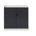 Armadio con ante a battente, L1023 x P555 x H1000 mm, PERFOM12001